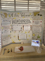 Year 6 Science Fair - Finalists